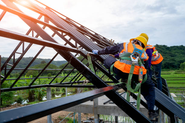 Best Flat Roof Repair Services  in Bloomingdale, IL